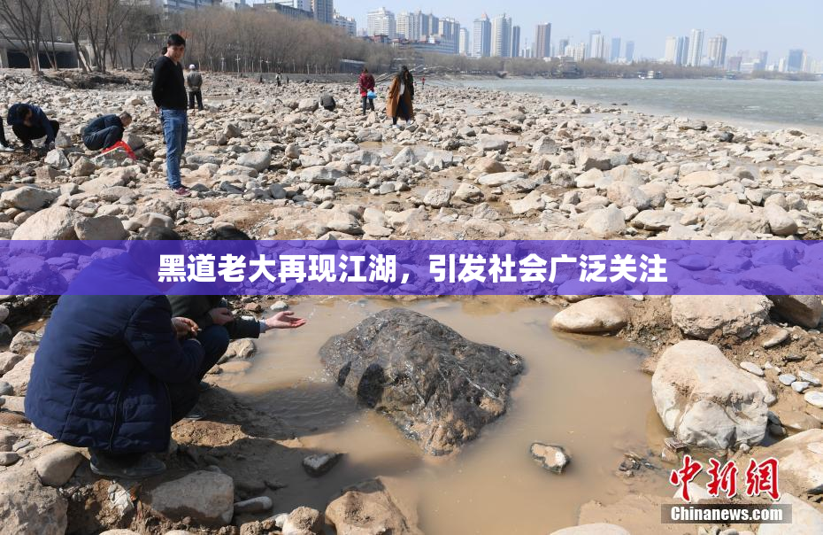 黑道老大再现江湖，引发社会广泛关注