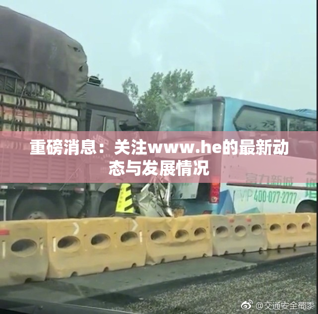 重磅消息：关注www.he的最新动态与发展情况