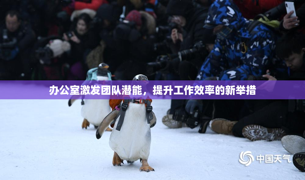 办公室激发团队潜能，提升工作效率的新举措