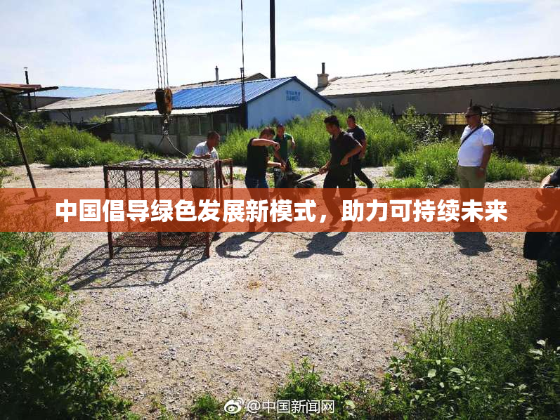 中国倡导绿色发展新模式，助力可持续未来