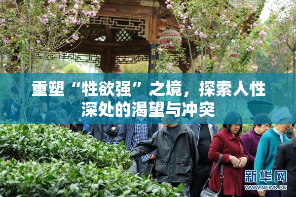重塑“牲欲强”之境，探索人性深处的渴望与冲突