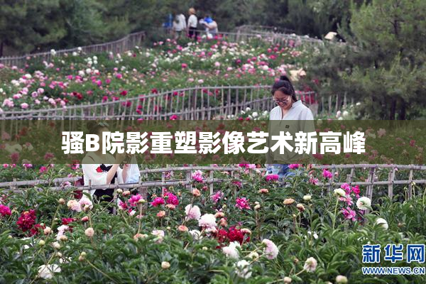 骚B院影重塑影像艺术新高峰