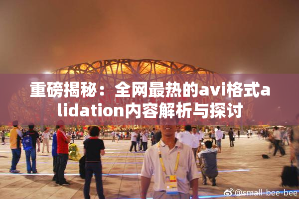 重磅揭秘：全网最热的avi格式alidation内容解析与探讨