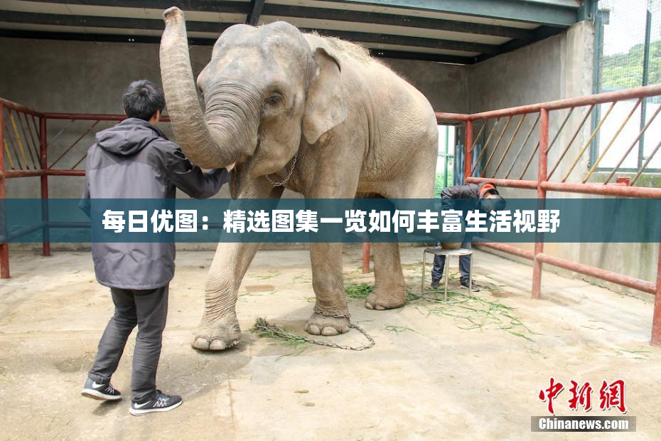 每日优图：精选图集一览如何丰富生活视野