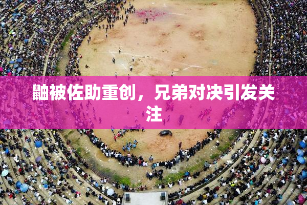 鼬被佐助重创，兄弟对决引发关注
