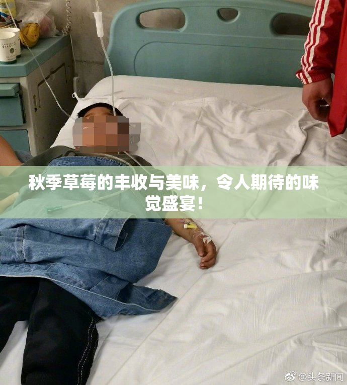 秋季草莓的丰收与美味，令人期待的味觉盛宴！