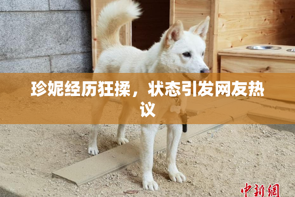 珍妮经历狂揉，状态引发网友热议