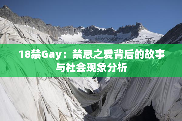 18禁Gay：禁忌之爱背后的故事与社会现象分析