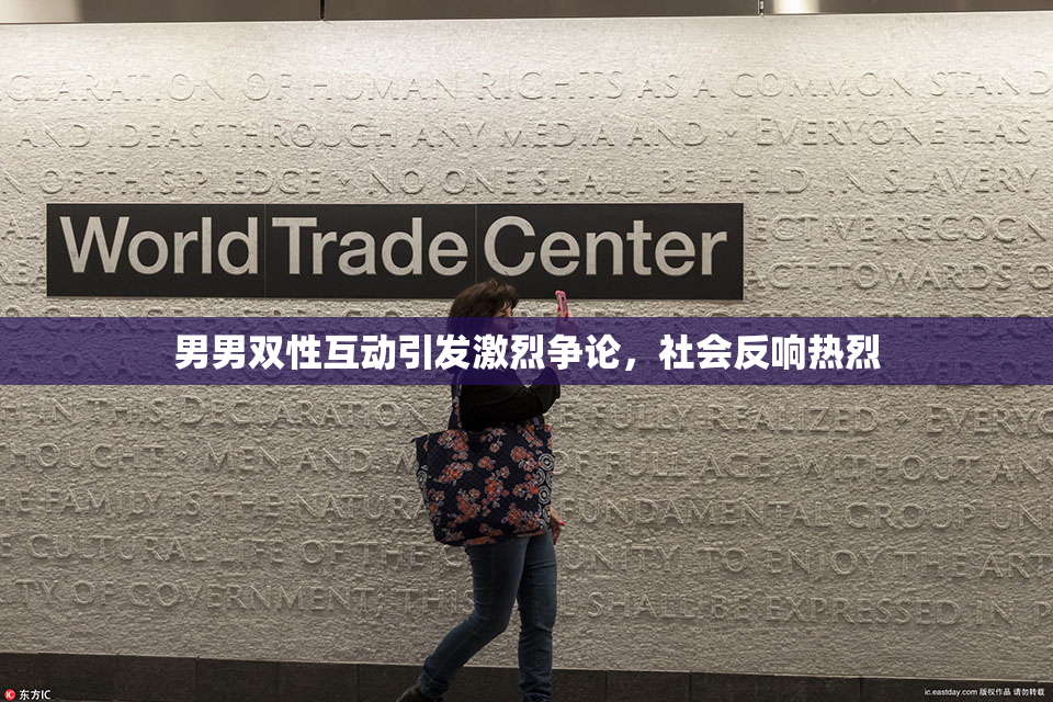 男男双性互动引发激烈争论，社会反响热烈