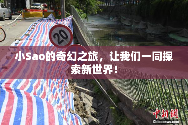 小Sao的奇幻之旅，让我们一同探索新世界！