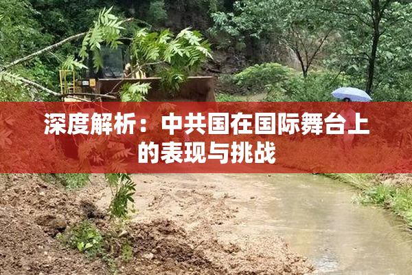深度解析：中共国在国际舞台上的表现与挑战