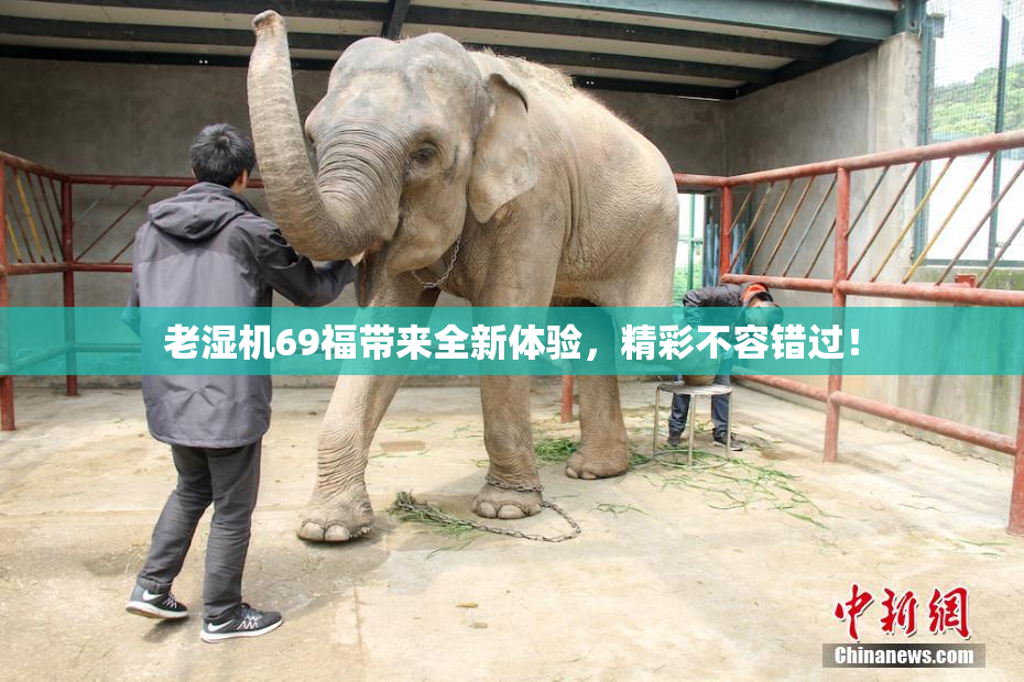 老湿机69福带来全新体验，精彩不容错过！