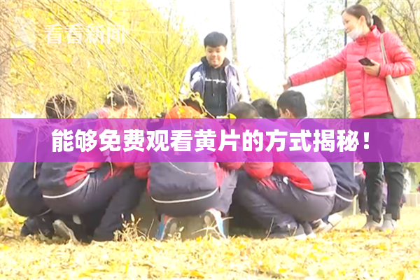 能够免费观看黄片的方式揭秘！