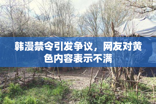 韩漫禁令引发争议，网友对黄色内容表示不满