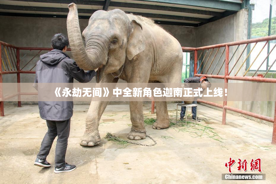 《永劫无间》中全新角色迦南正式上线！