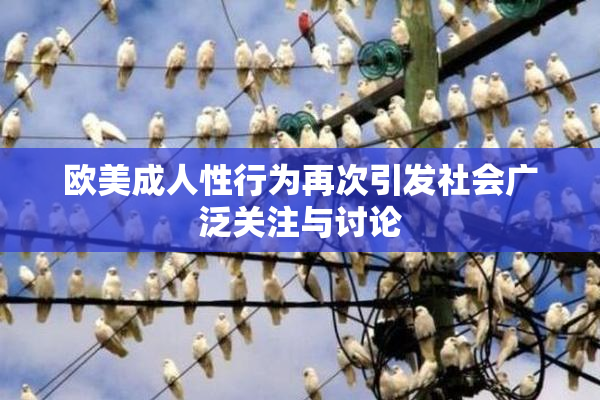 欧美成人性行为再次引发社会广泛关注与讨论
