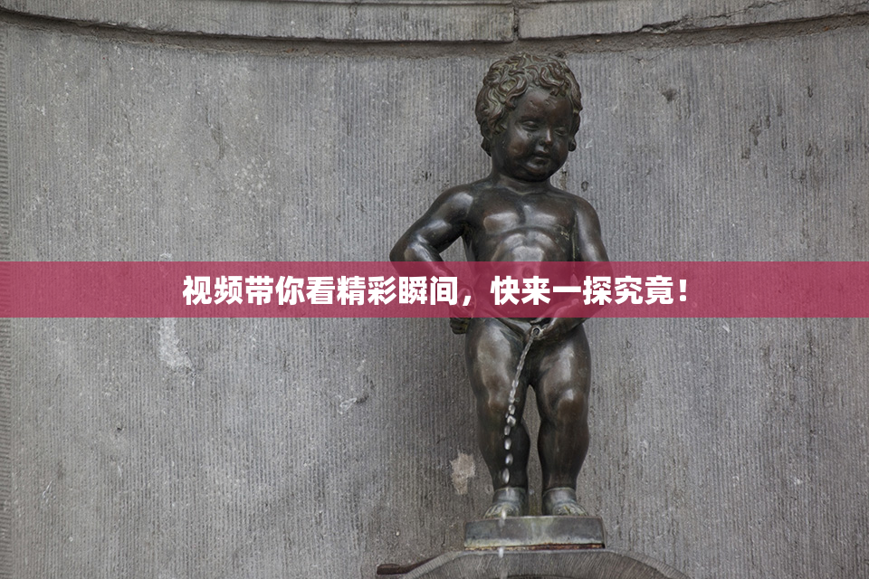 视频带你看精彩瞬间，快来一探究竟！