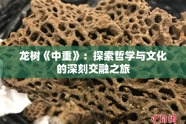 龙树《中重》：探索哲学与文化的深刻交融之旅