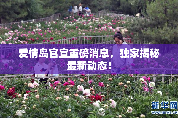 爱情岛官宣重磅消息，独家揭秘最新动态！