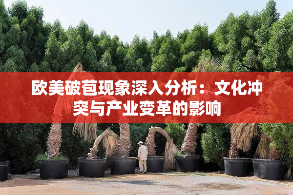 欧美破苞现象深入分析：文化冲突与产业变革的影响