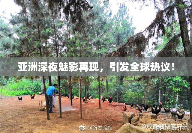 亚洲深夜魅影再现，引发全球热议！