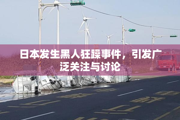 日本发生黑人狂躁事件，引发广泛关注与讨论