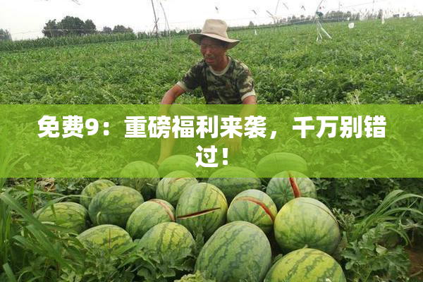 免费9：重磅福利来袭，千万别错过！