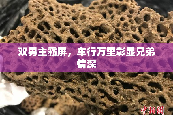 双男主霸屏，车行万里彰显兄弟情深