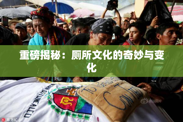 重磅揭秘：厕所文化的奇妙与变化