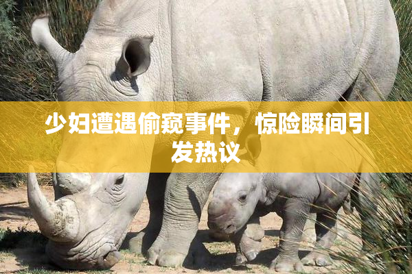 少妇遭遇偷窥事件，惊险瞬间引发热议