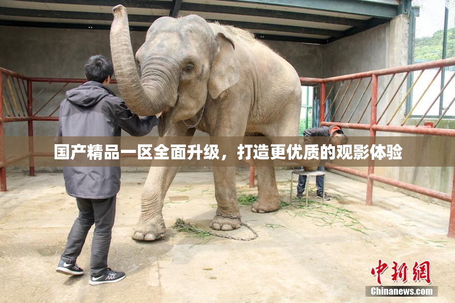 国产精品一区全面升级，打造更优质的观影体验