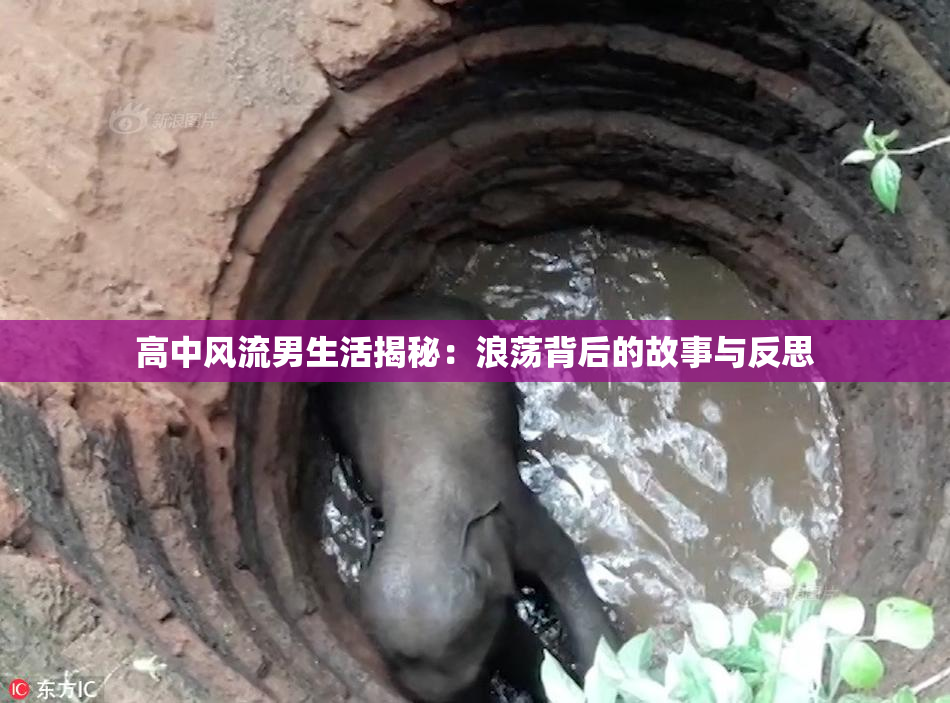 高中风流男生活揭秘：浪荡背后的故事与反思