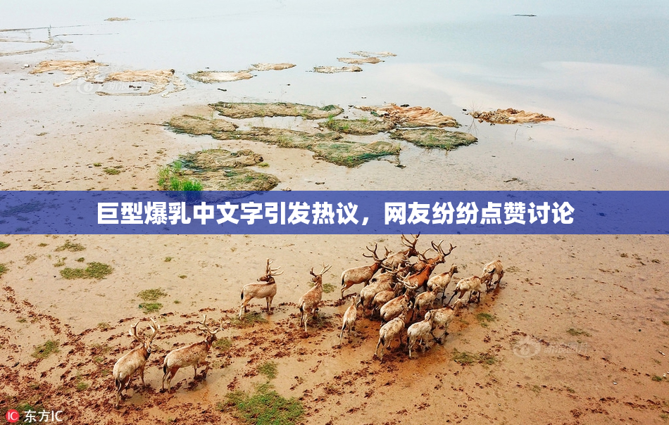 巨型爆乳中文字引发热议，网友纷纷点赞讨论