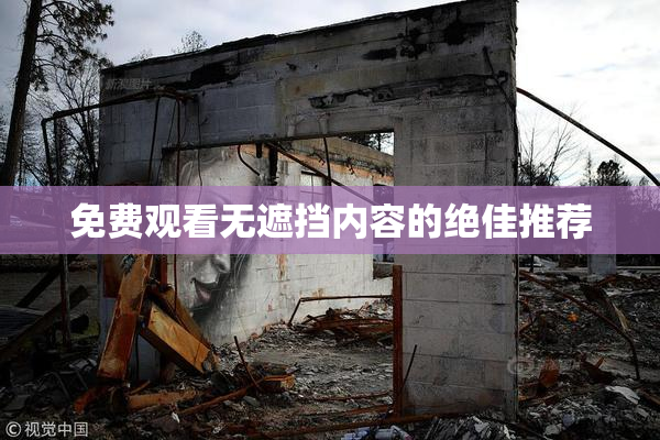 免费观看无遮挡内容的绝佳推荐