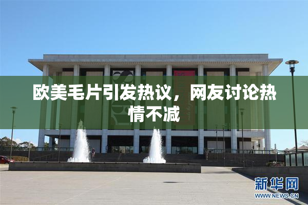欧美毛片引发热议，网友讨论热情不减