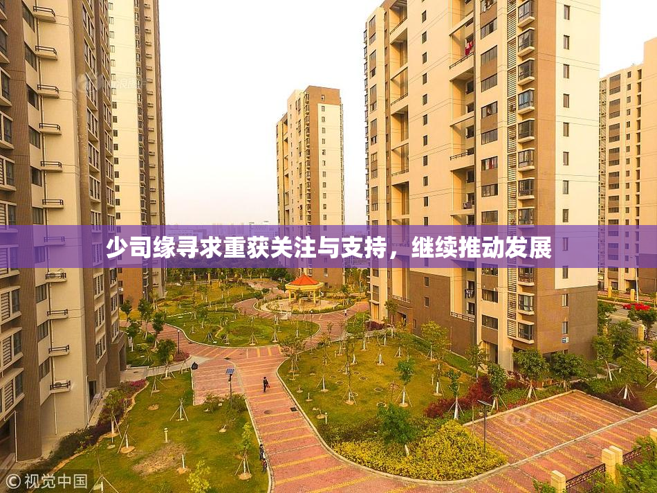 少司缘寻求重获关注与支持，继续推动发展