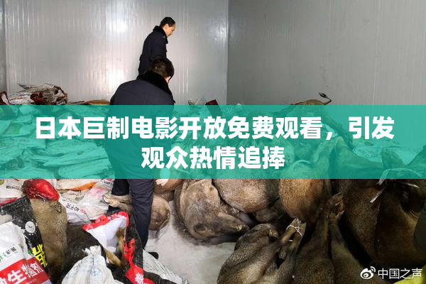 日本巨制电影开放免费观看，引发观众热情追捧
