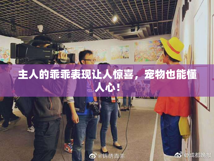 主人的乖乖表现让人惊喜，宠物也能懂人心！