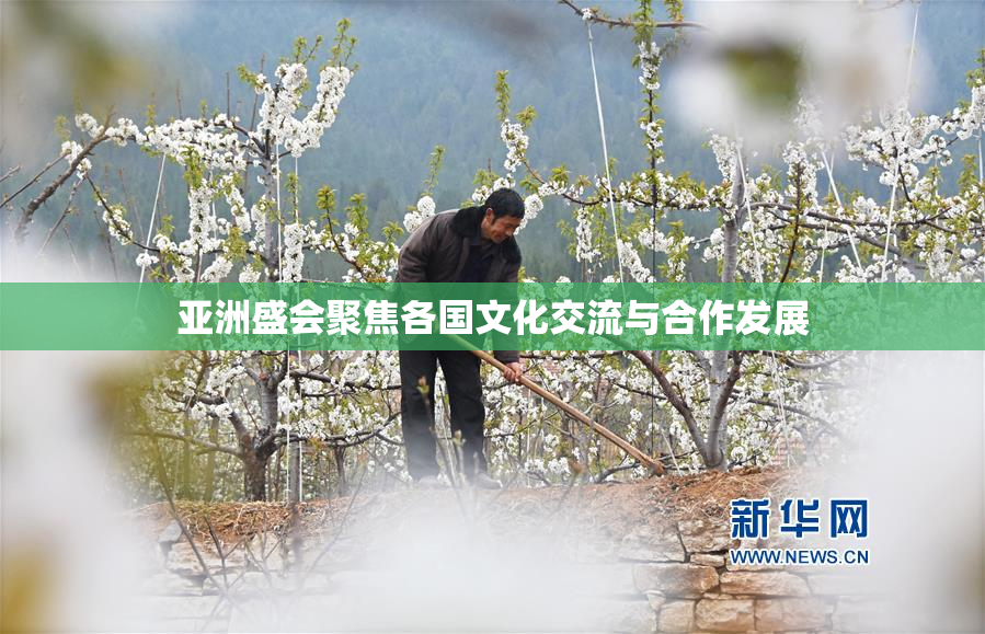 亚洲盛会聚焦各国文化交流与合作发展