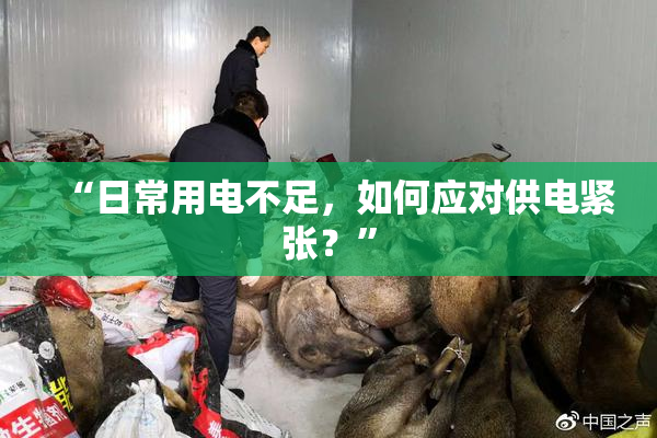 “日常用电不足，如何应对供电紧张？”