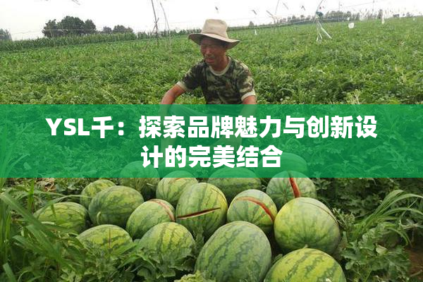 YSL千：探索品牌魅力与创新设计的完美结合