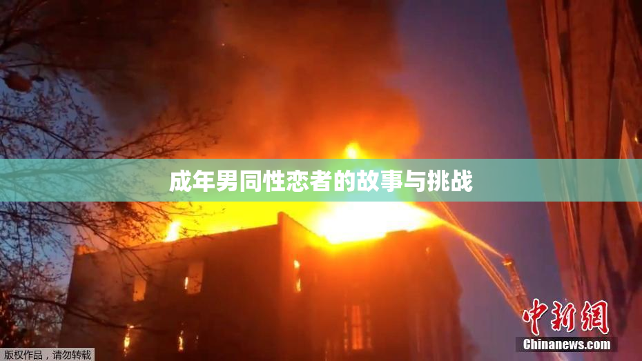 成年男同性恋者的故事与挑战