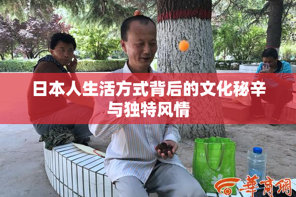 日本人生活方式背后的文化秘辛与独特风情