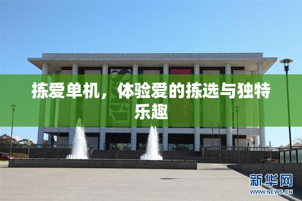 拣爱单机，体验爱的拣选与独特乐趣