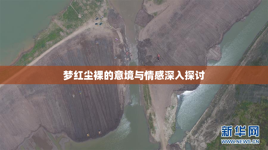 梦红尘裸的意境与情感深入探讨