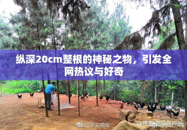 纵深20cm整根的神秘之物，引发全网热议与好奇