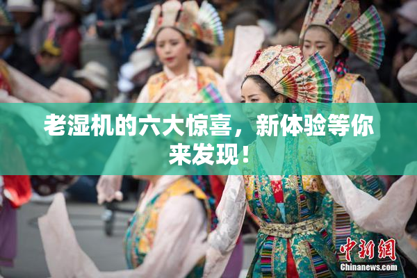 老湿机的六大惊喜，新体验等你来发现！