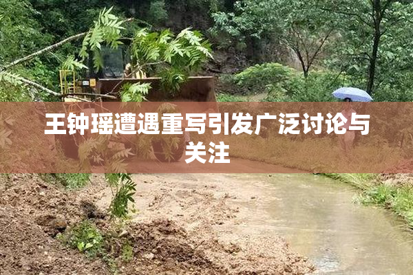 王钟瑶遭遇重写引发广泛讨论与关注
