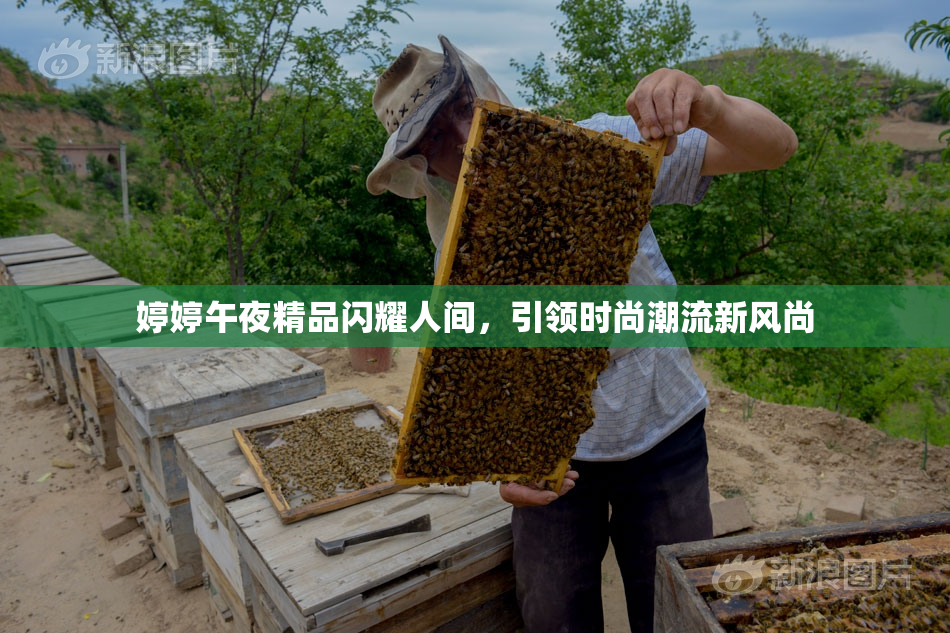 婷婷午夜精品闪耀人间，引领时尚潮流新风尚