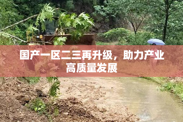 国产一区二三再升级，助力产业高质量发展